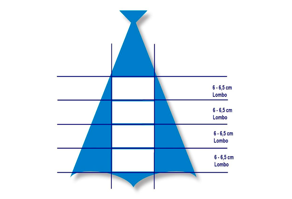 572216 BAC.DEM.CONG.LOMBO 200 300G ULTRAFISH LC 2