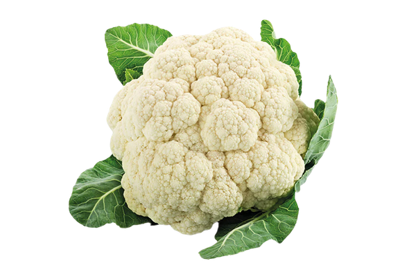 551111 COUVE FLOR551111 COUVE FLOR