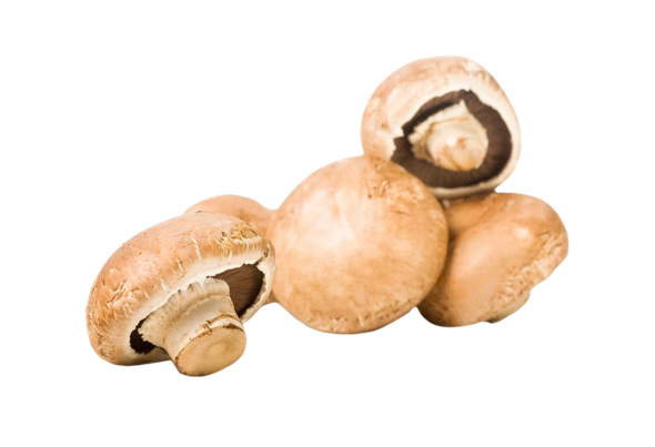 576078 COGUMELOS MARRON FRESCOS CX 1,8KG