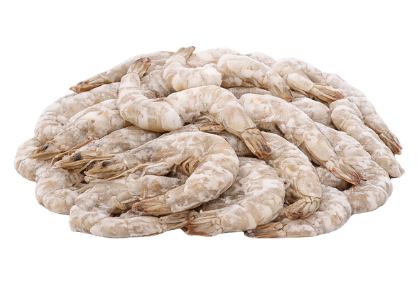 584786 CAMARAO C CABECA 21 30 CONG. ULTRAFISH