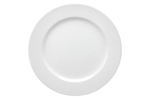 590422 PRATO RASO COIMBRA SP WHITE 24CM VA
