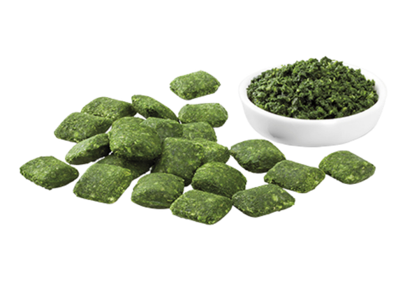 662998 ESPINAFRE TRITURADO CONG VIRTO 2.5KG