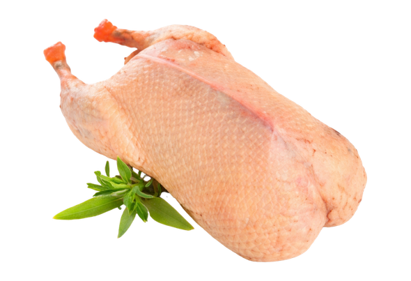 553407 PATO C MIUDOS CONGELADO