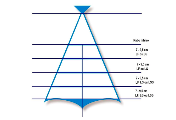 575296 BAC.DEM.POSTA MED.200G CONG.CX6.3KG ULTR 3