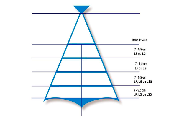 575296 BAC.DEM.POSTA MED.200G CONG.CX6.3KG ULTR 3