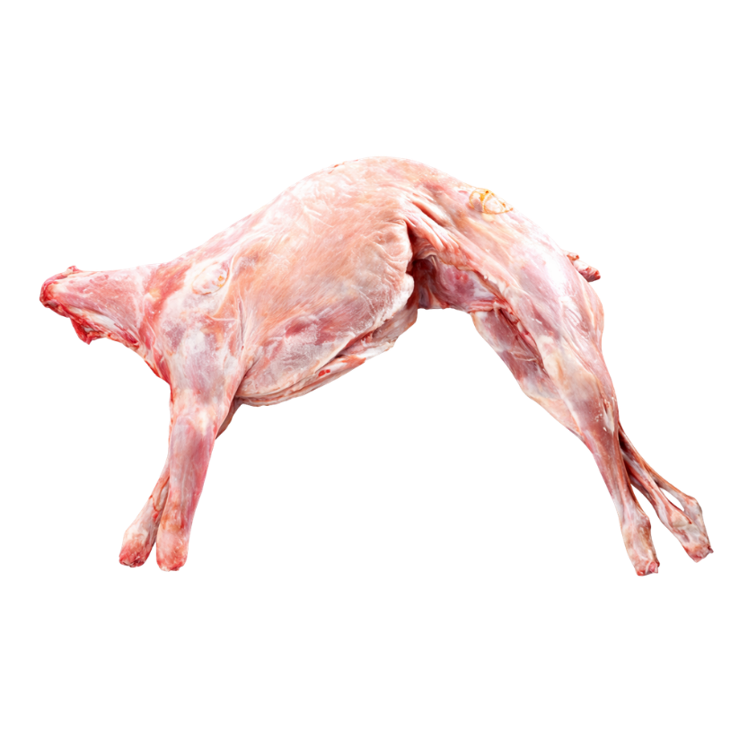 Cabrito