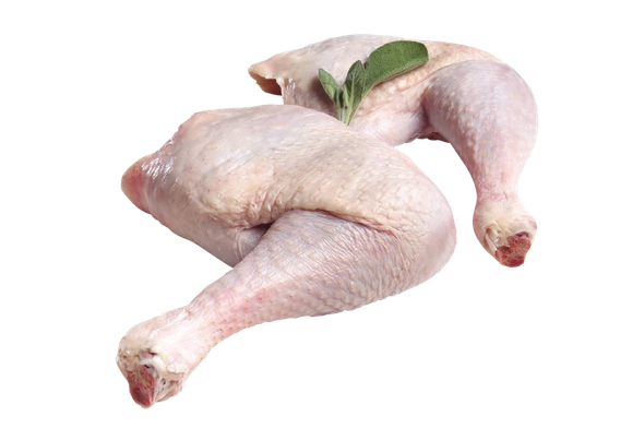 126321 PERNA DE PERU CONG. IMPORTADA (1)