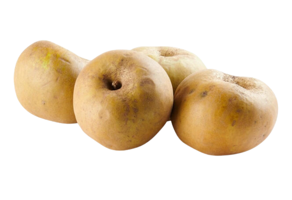 Maca Raneta MAÇÃ REINETA 75/80