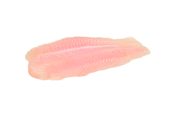 608413 FILETE CORVINA 0.5 1 S PELE CONG CX10 KG