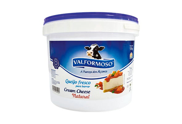 653835 CREAM CHEESE VALFORMOSO 5KG