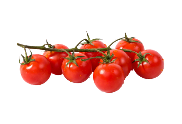 118882 TOMATE CHERRY