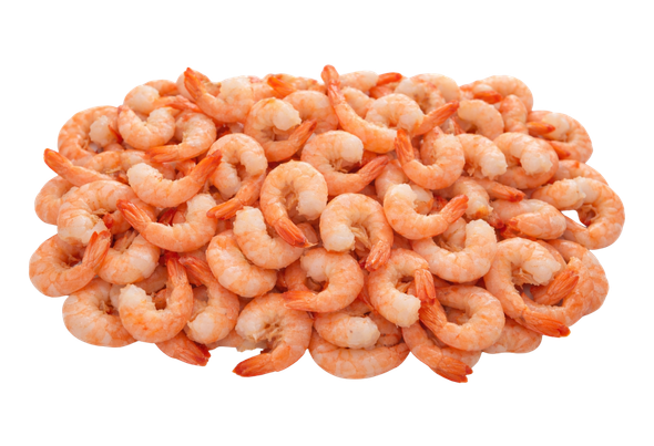 658613 MIOLO CAMARAO COZ S T 51 60 CNG ANDU 1KG