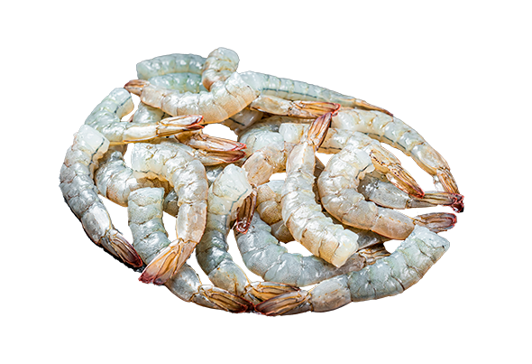 CAMARÃO SEM CABEÇA 61/70 CONGELADO ULTRAFISH
