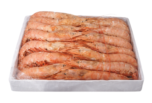 652008 GAMBAO ARG SELV CONG 10 20PC 6X2KG