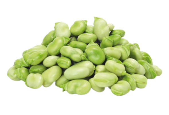662865 FAVA FINA CONG NAVARRA 2.5KG