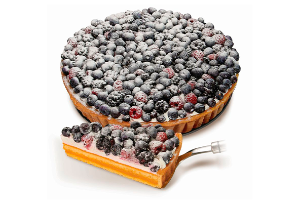 573382 TARTE DE FRUTOS SILVESTRES 1600G C.PROF