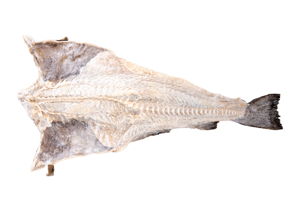 645054 BAC.GRAUDO SALG.SECO NOR.25KG ALTOMAR