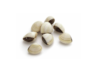 AMEIJOA VIETNAMITA 40 60 1 KG CONG