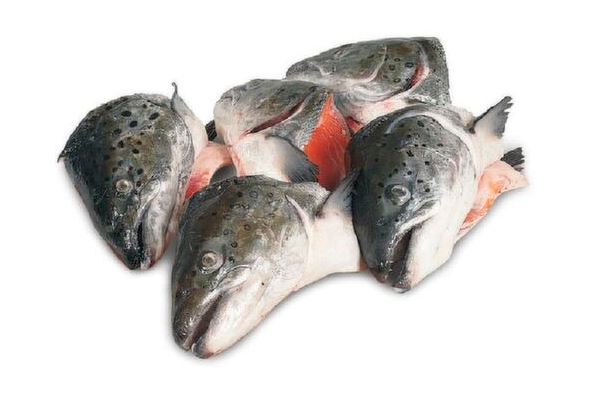 Cabecas Salmao Eurochef Cx 6Kg Distribuicao