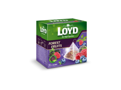LOYD INFUSAO FRUTOS DO BOSQUE (20SAQ) (1)