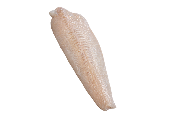 FILETE DE PESCADA SEM ESPINHA CONGELADO