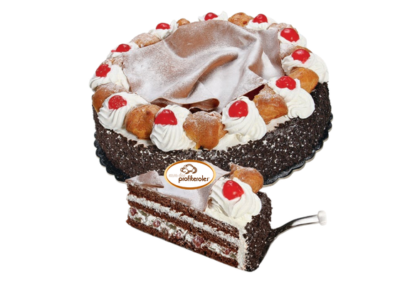 573337 FLORESTA NEGRA 1500G C.PROF