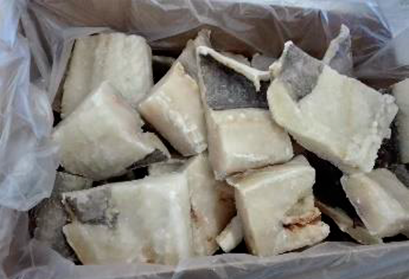 575296 BAC.DEM.POSTA MED.200G CONG.CX6.3KG ULTR 2