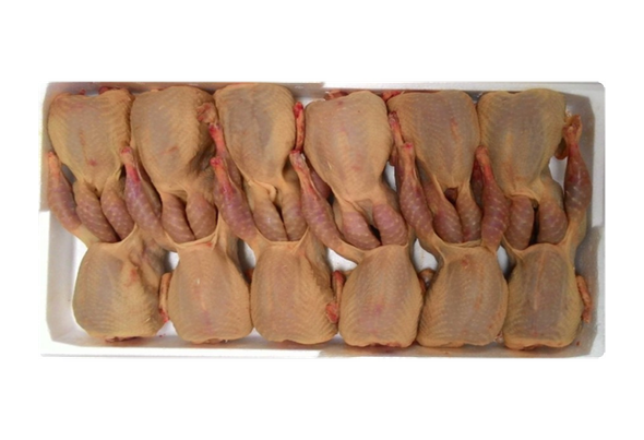 553418 CODORNIZES 100 GRS CONG (2)