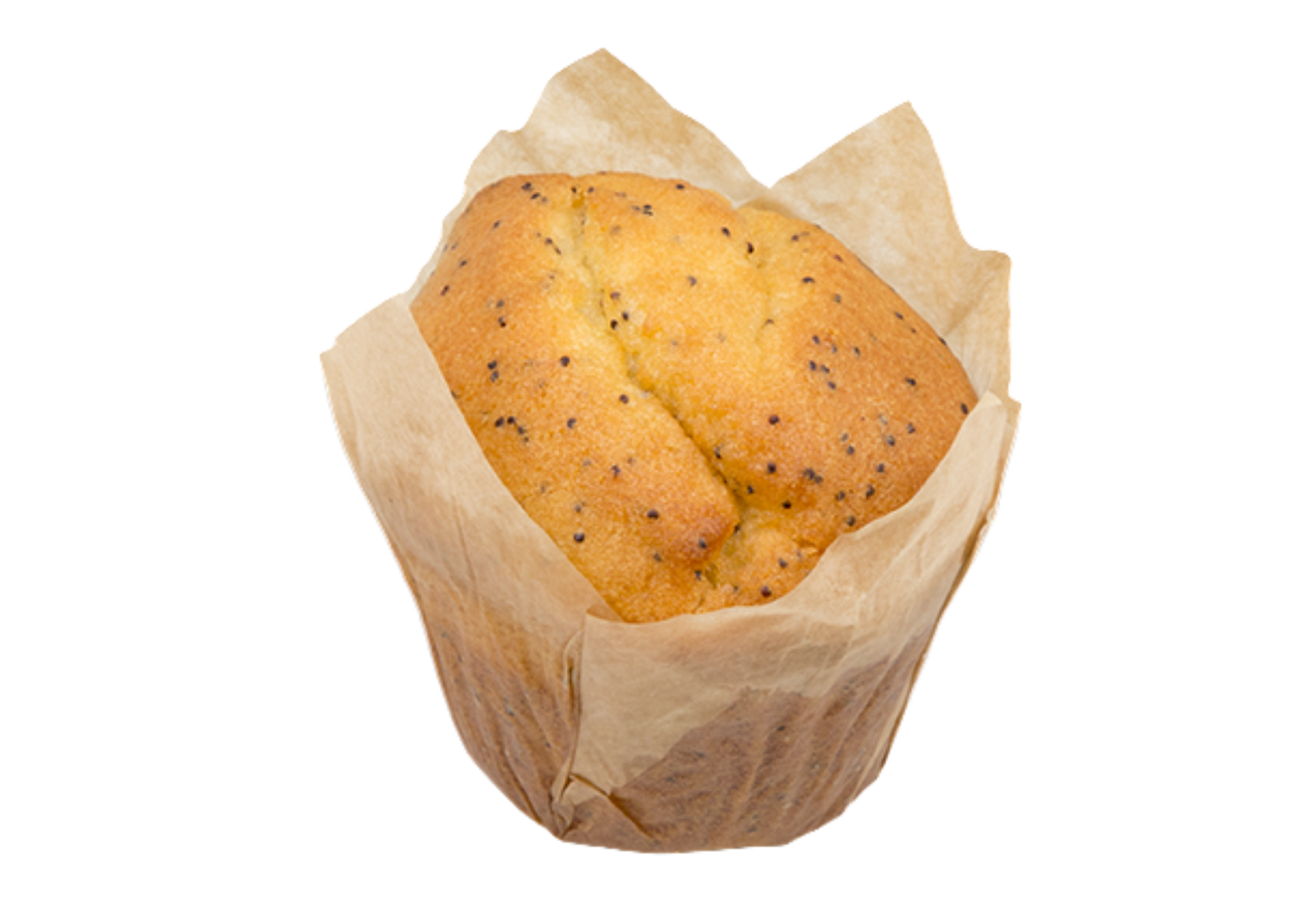 626392 MUFFIN LIM PAPOILA S GLUT 80G(16UN)PANID