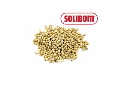 PIMENTA BRANCA GRAO PCT KG SOLIBOM
