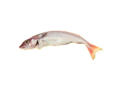 ARINCA CONGELADA CX + 6 KG ULTRAFISH