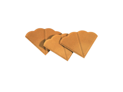 BOLACHA EM LEQUE CX 1 KG (1)