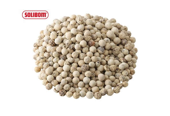 661967 PIMENTA BRANCA GRAO SOLIBOM PCT 1KG
