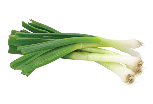 551120 ALHO FRANCES VERDE