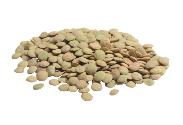 665001 LENTILHAS VERDES TREVI 1KG