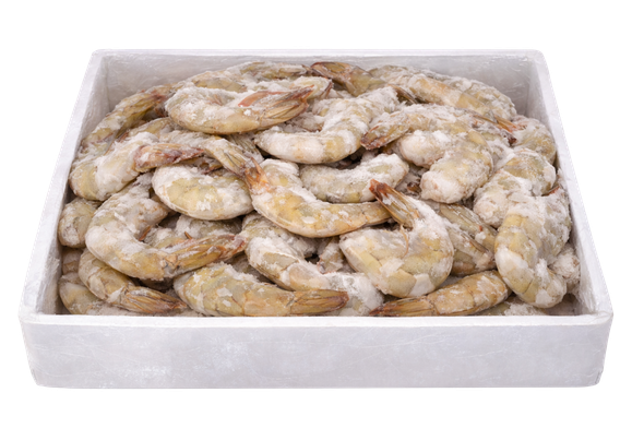 651787 CAMARAO S CABECA 36 40 CONG. ULTRAFISH