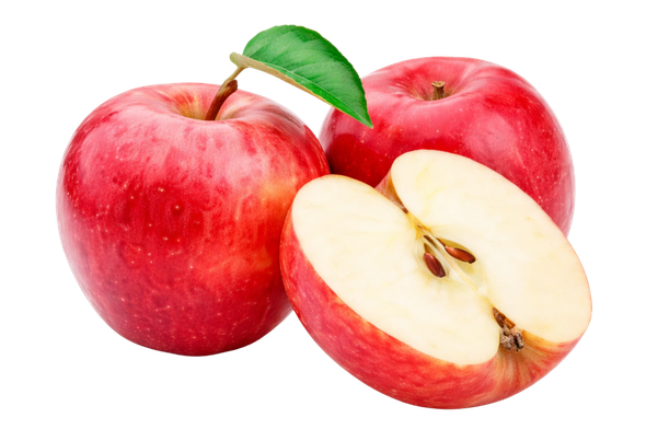 565911 MACA STARKING 55 60