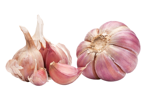 565956 ALHOS SECOS EMB (KG)