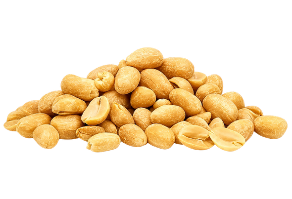 660798 AMENDOIM FRITO S SAL FRUTOP 1KG