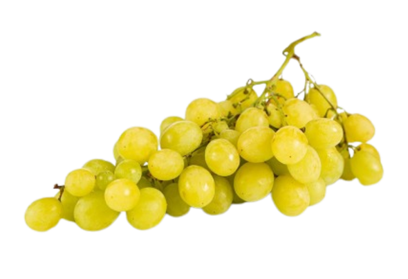 649549 UVA BRANCA VITORIA