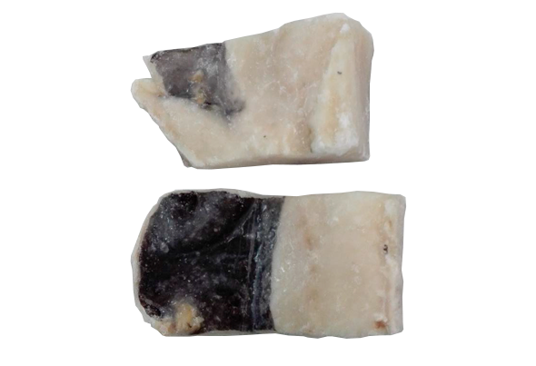 572214 BAC.DEM.CONG.POST MED.250G ULTRAFISH LC 1