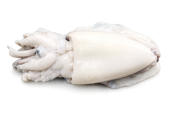 649823 CHOCO LIMPO 23KG CONG