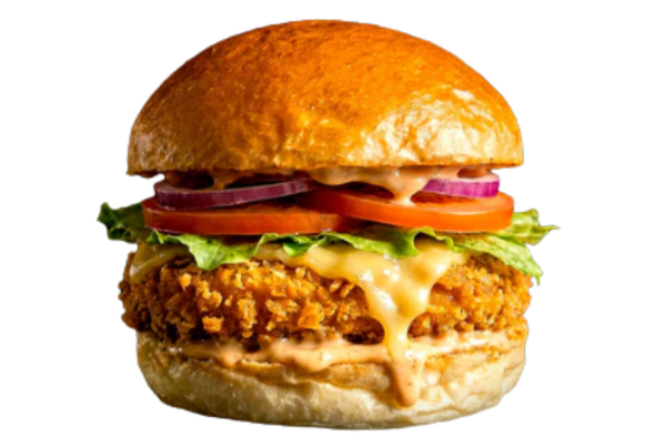 662628 BRIOX BAKER PAO HAMBURGUER VEGAN 80GCX54 (2)