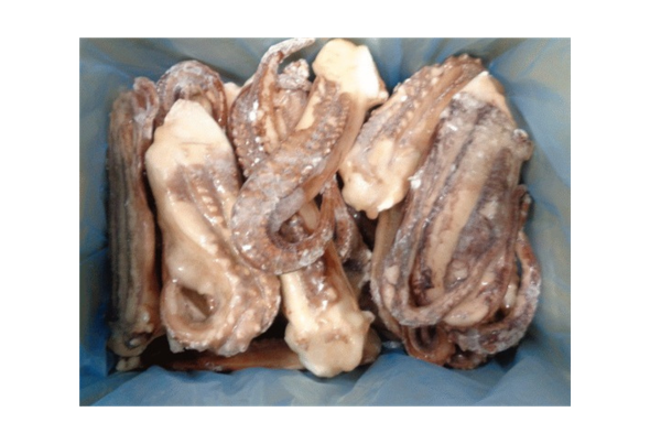 TENTÁCULOS DE POTA CONGELADO CAIXA DE 18/20KG