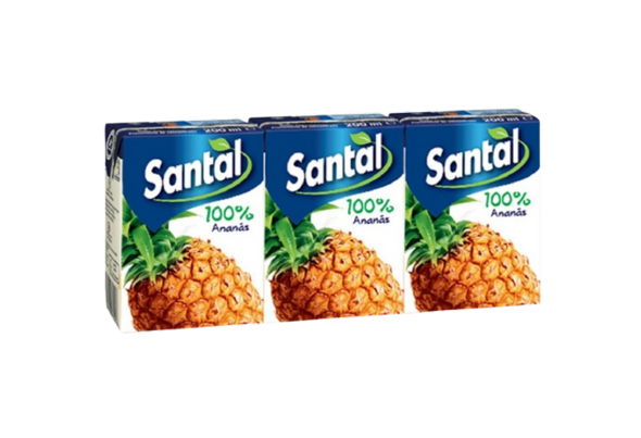 202701 SANTAL 100% ANANAS 0,20 TB (27)
