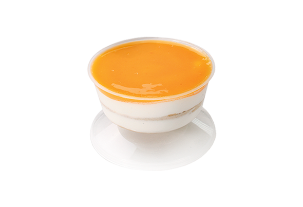 573406 NATAS DO CEU 110G (12UN) C.PROF