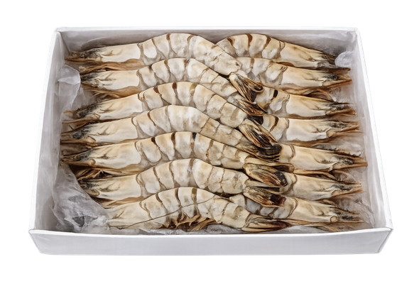 650506 CAMARAO BT BANG 16 20 BRASMAR CX1KG PL (2)