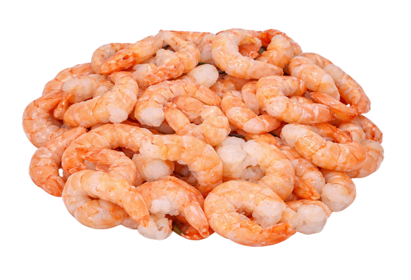 651799 MIOLO CAMARAO COZ S T 51 60 CNG1KG ULTRA