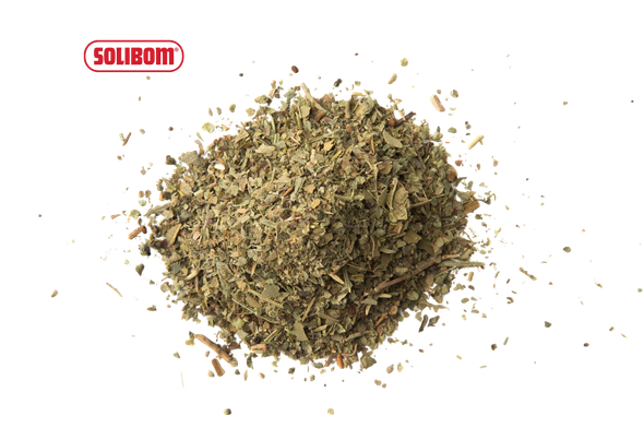 661954 ERVAS PROVENCE SOLIBOM PCT 250G