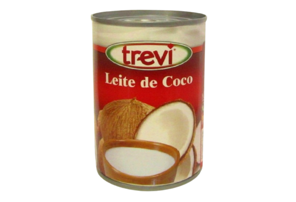 LEITE DE COCO 17-19% TREVI